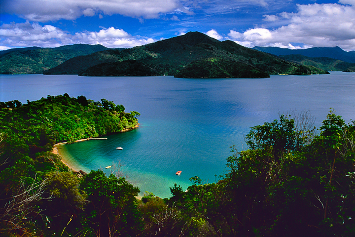  Jump in Your Cars For Fun Road Trips New Zealand