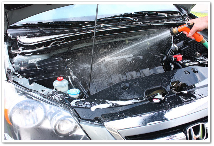 Step by Step Guide to Cleaning Your Car Engine