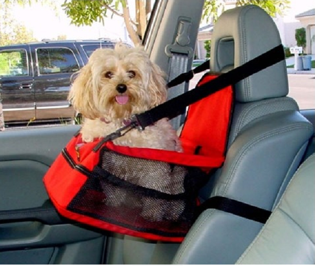 pet carrier in car