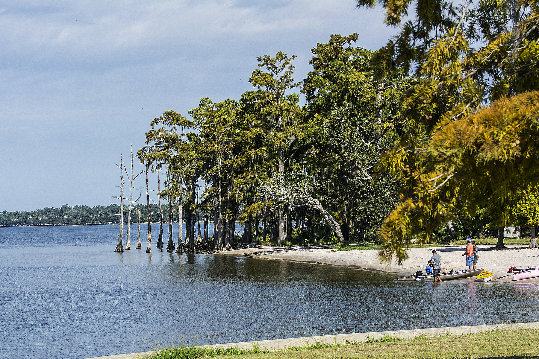 Road Tripping Through Louisiana