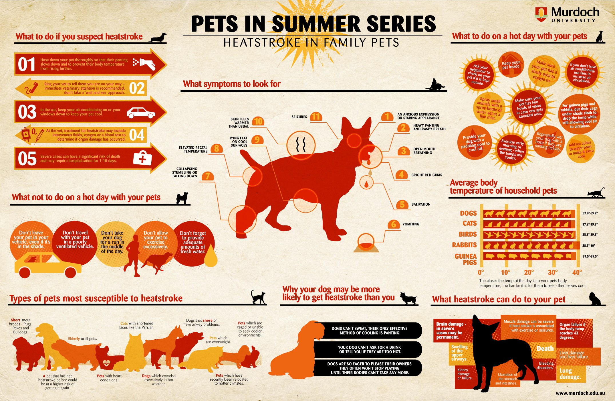 Heat Stroke Pets