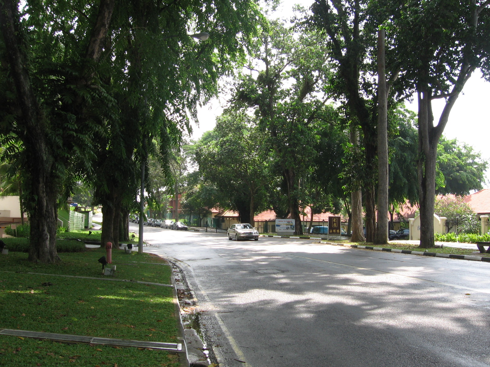 Haunted Roads For a Real Fright Night This Halloween