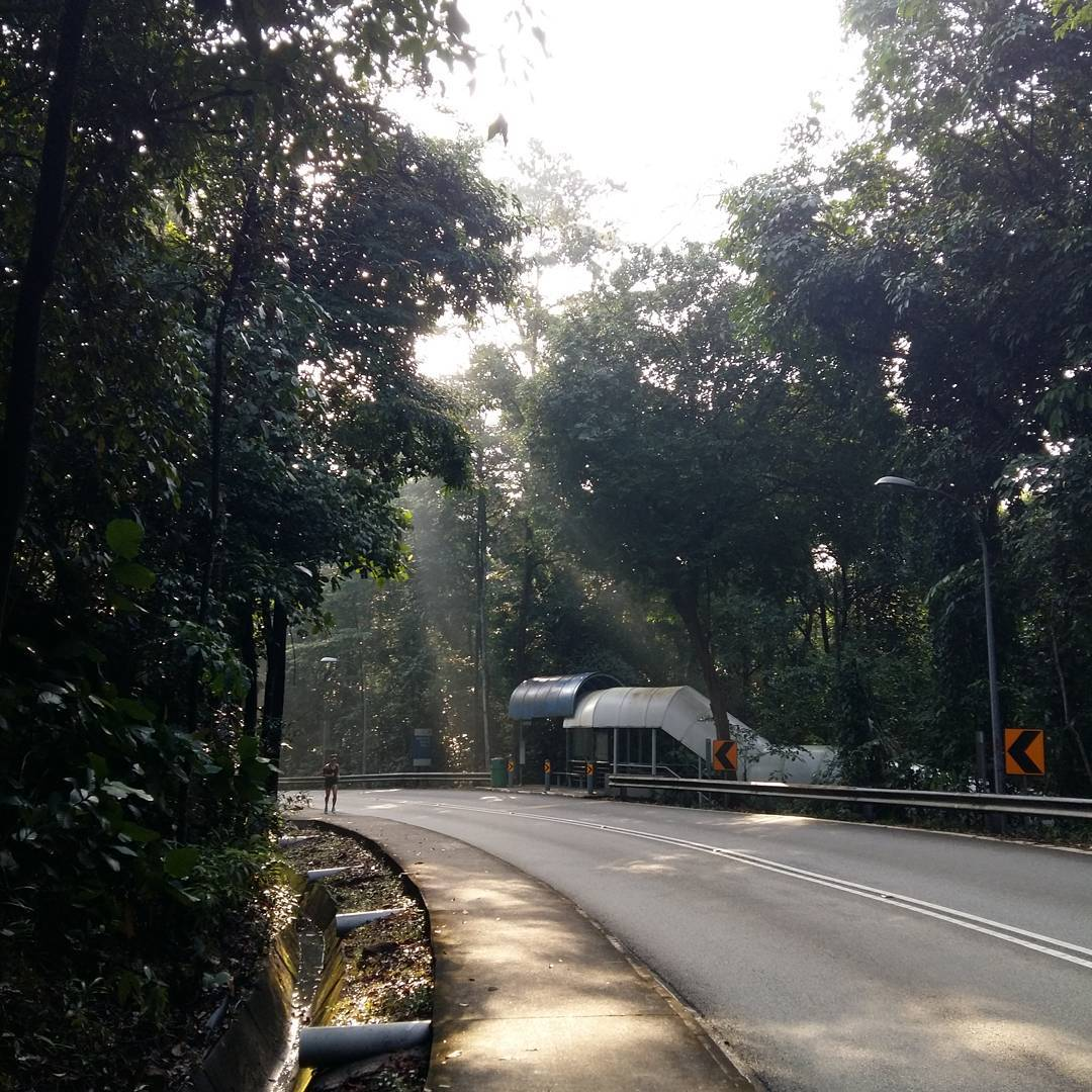 South Buona Vista Road - Haunted Roads