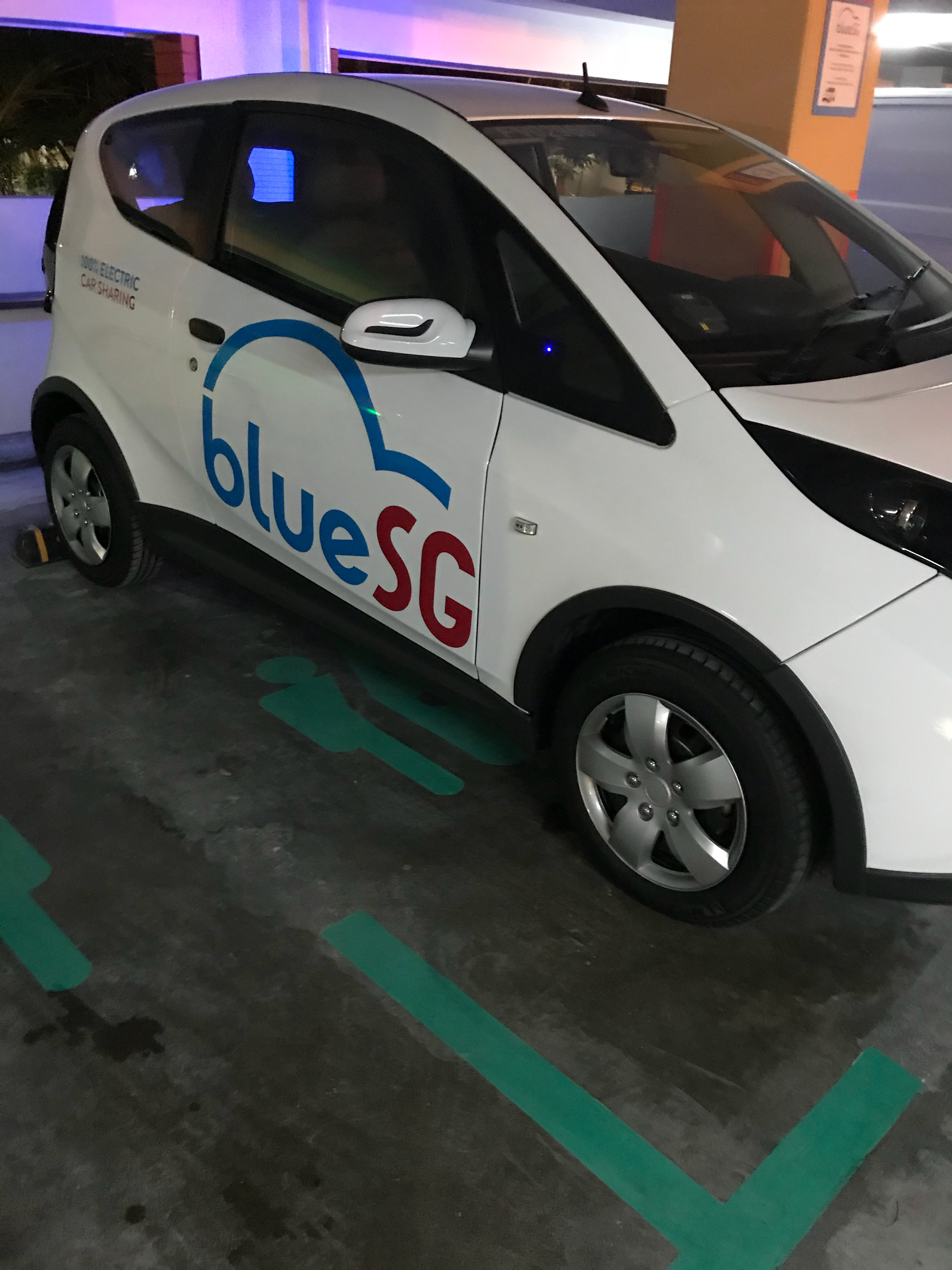 BlueSG: Reducing the Need to Own a Car?