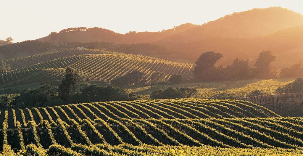 Source: napa-valley-www-travel-aarp-orgdestinationsunited-statesnapa-valley