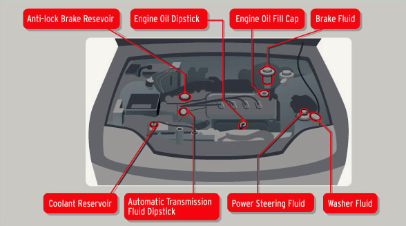 How to Protect Your Car During a Flash Flood