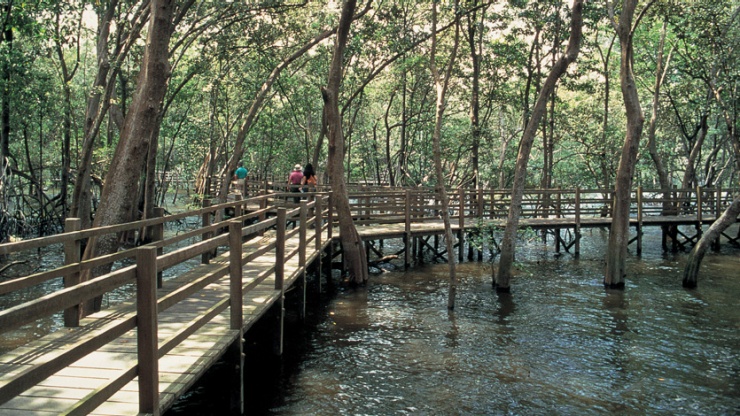 sungei buloh wetland reserve