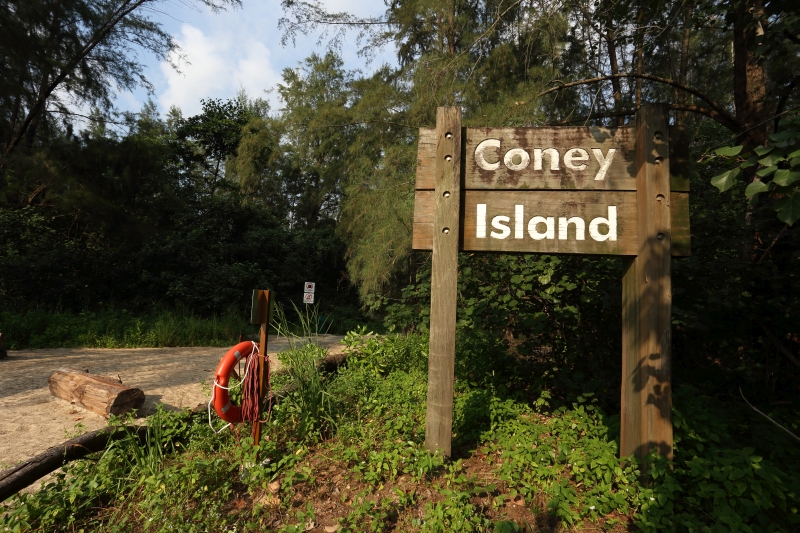 Visit Coney Island for Valentine's Day