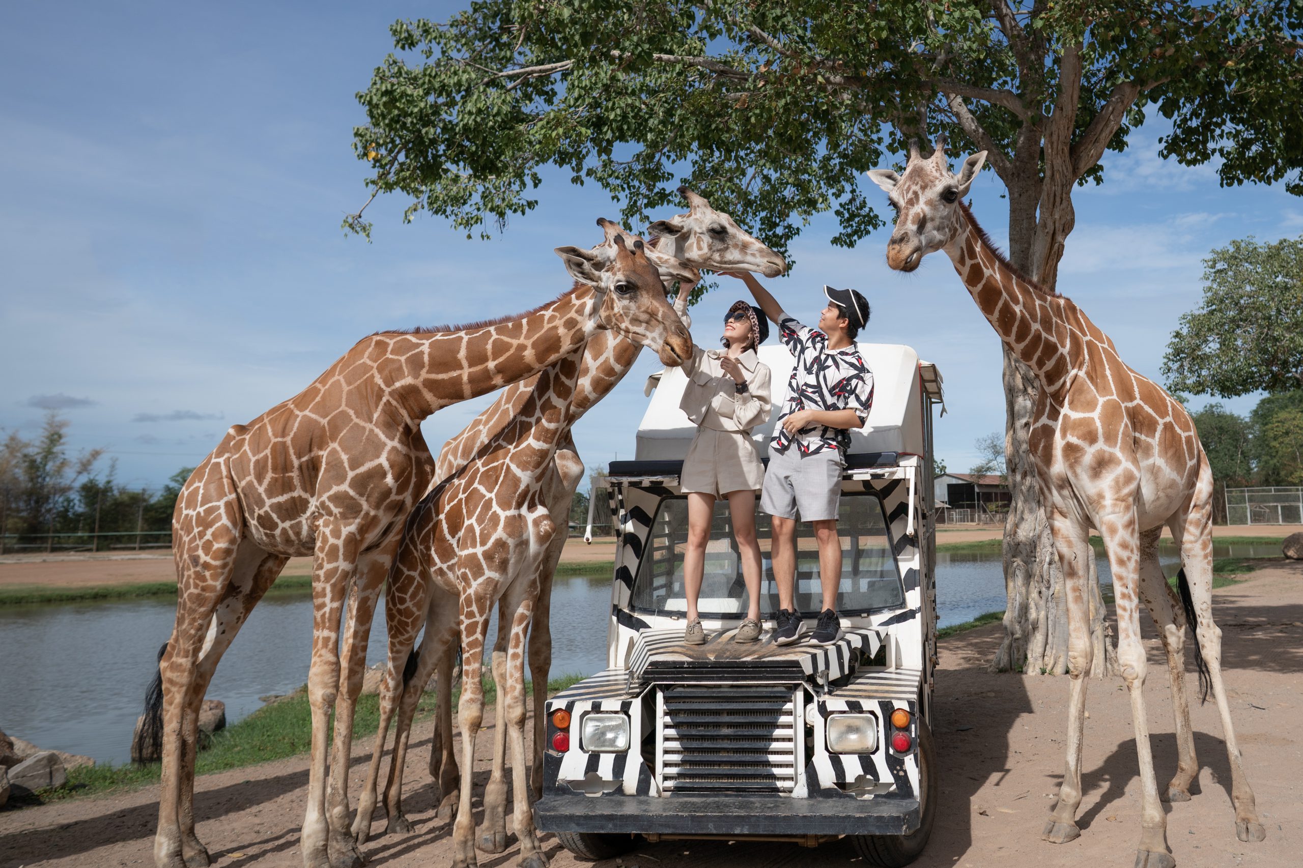 virtual safari september school holidays 2020