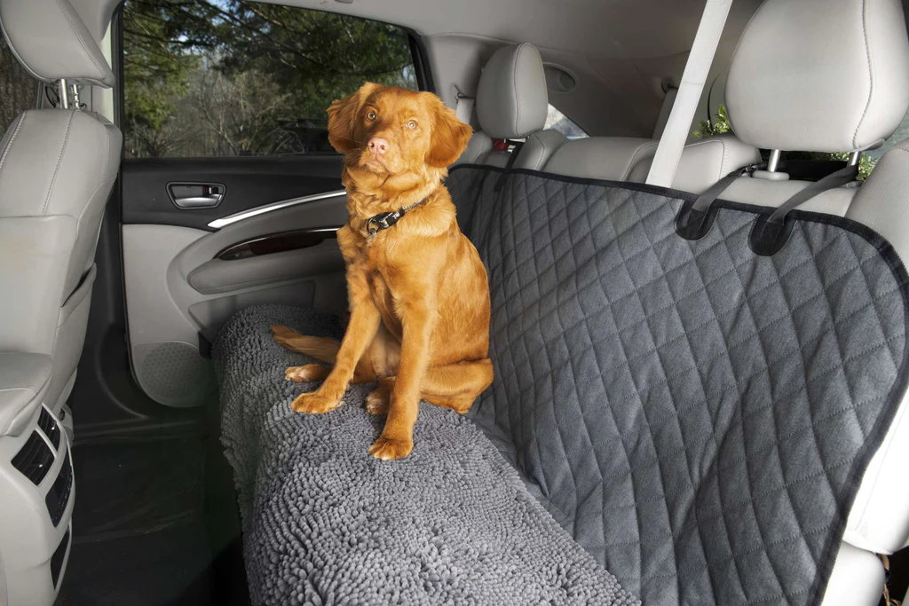 9 essential pet accessories for your car