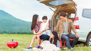 Family having picnic with hatchback boot open