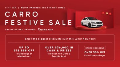 Carro Festive Sale